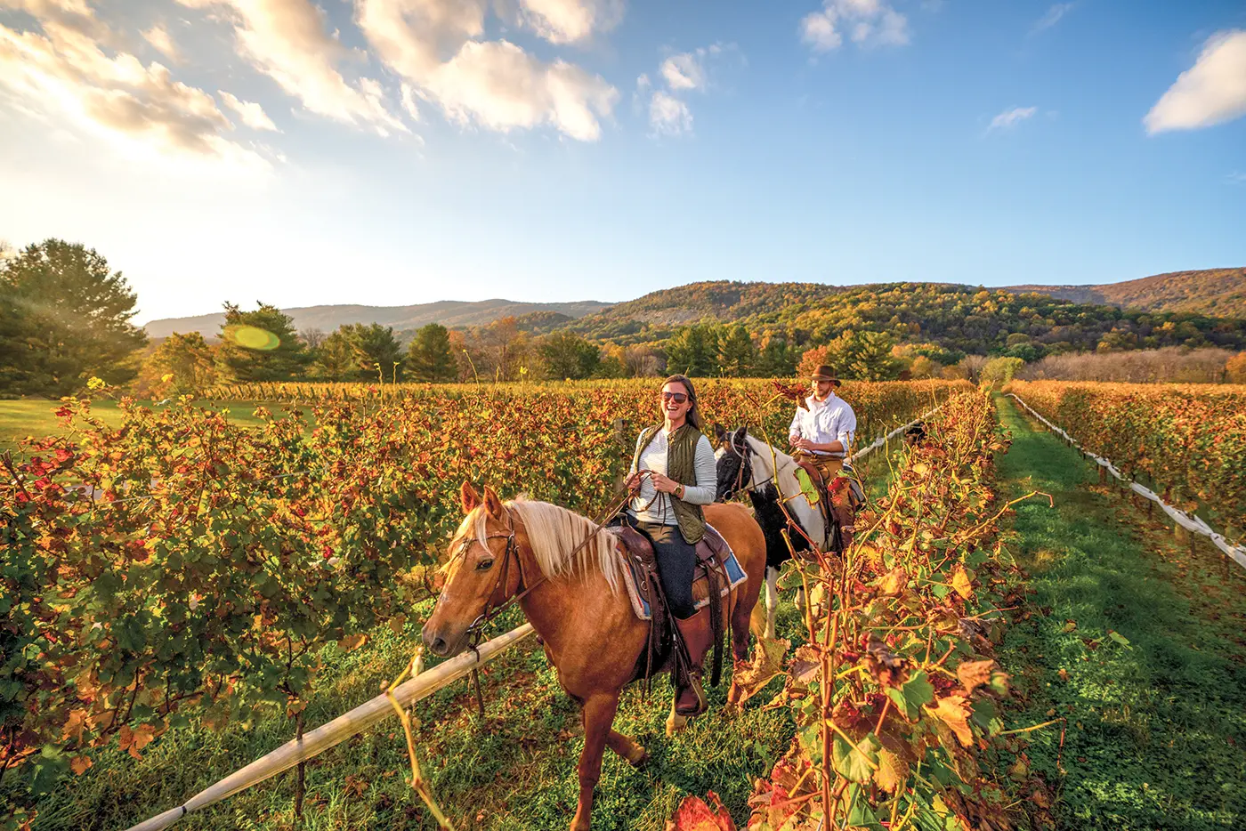 charlottesville horseback riding